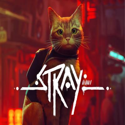 Stray (للبيسي)